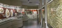 Museo dei Fossili di Bolca