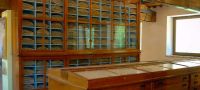 Museo di Storia Naturale "Antonio Orsini"