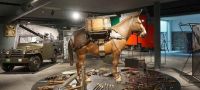 Museo Nazionale Storico degli Alpini
