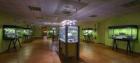 Museo Archeologico "Giovanni Rambotti"