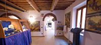 Museo dei Minerali Elbani