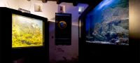 Museo Vivo del Mare