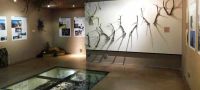 Museo del Parco Alto Garda Bresciano