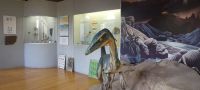 Museo di Storia Naturale "La Terra e l'Uomo"