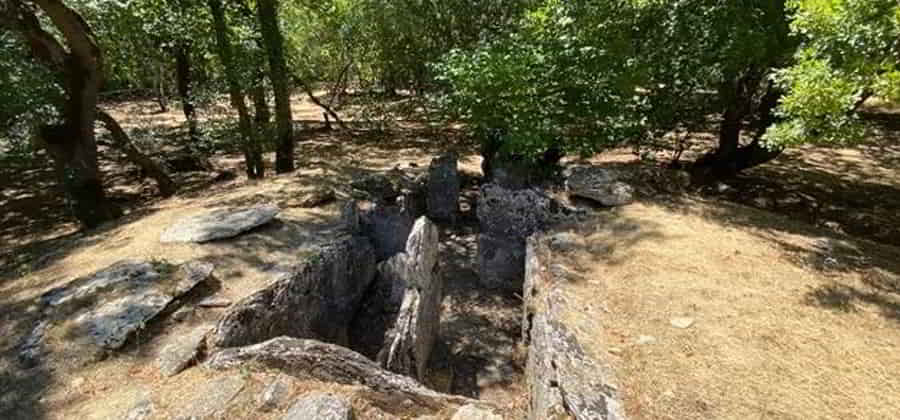 Necropoli Etrusca del Puntone
