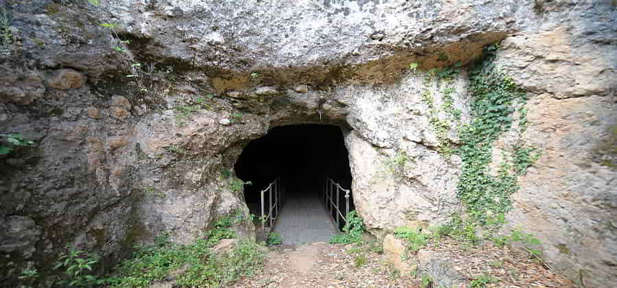 Necropoli Etrusca di Malignano