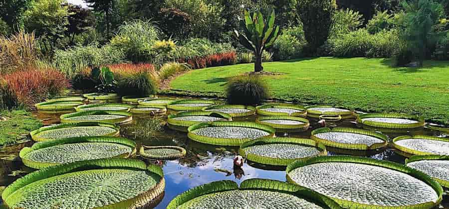 Giardino Botanico di Villa Bricherasio