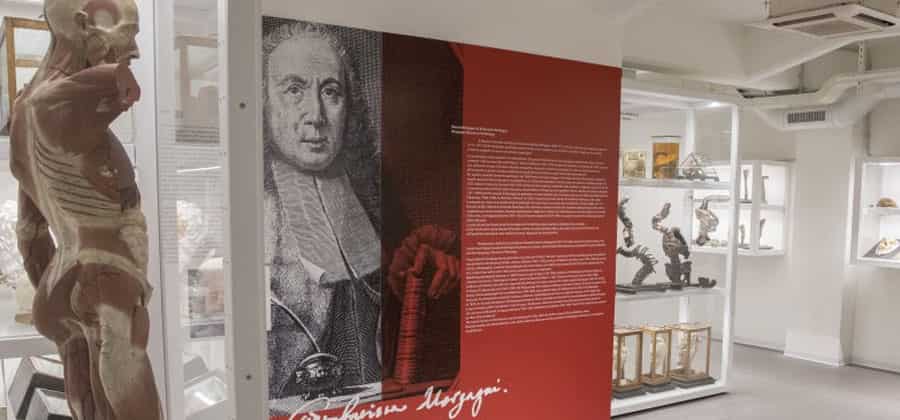 Museo di Anatomia Patologica "G. Morgagni"
