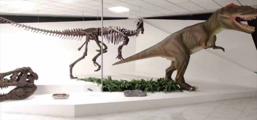 Museo BioGeo