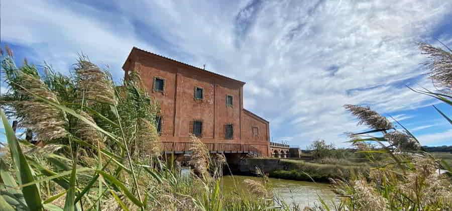 Museo della Casa Rossa Ximenes
