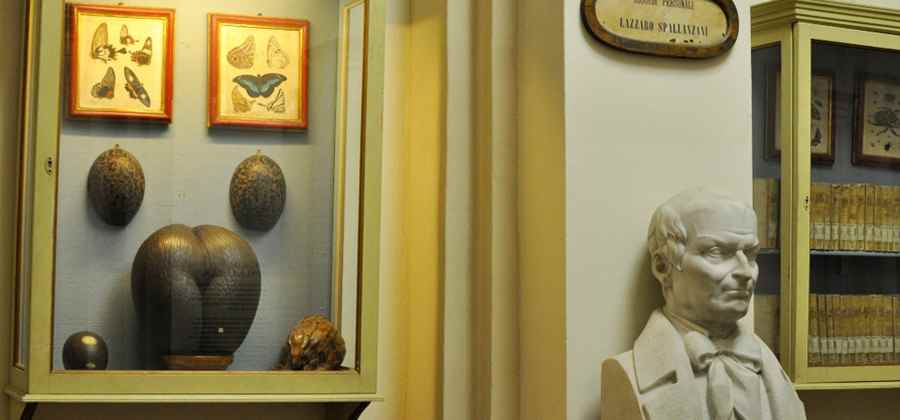 Collezione Spallanzani