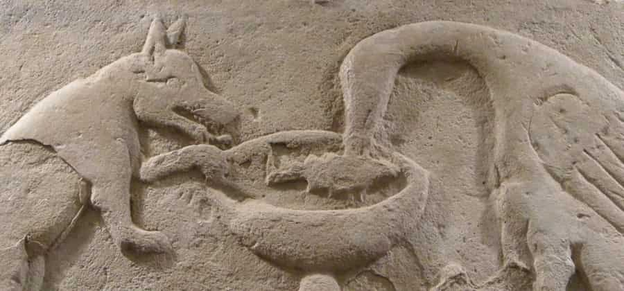 Lapidario di Urbino