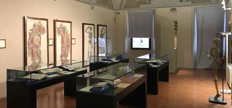 Museo della Grafica