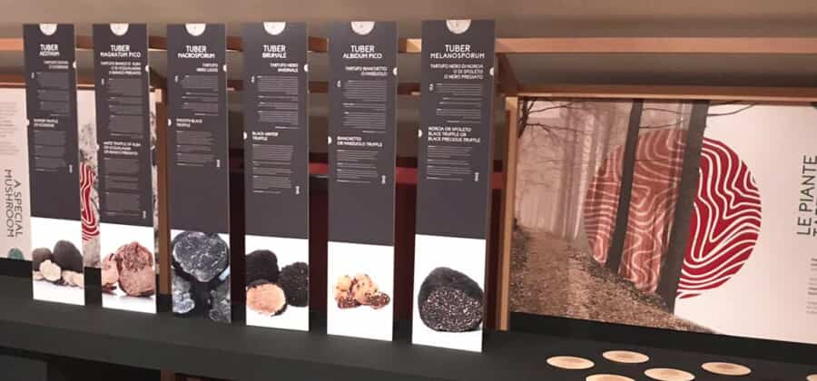 Museo del Tartufo di San Pietro