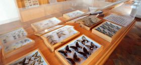 Museo Naturalistico del Monte Soratte