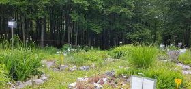 Giardino Botanico Alpino Esperia