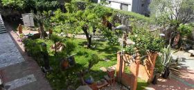 Fondazone Museo Giuseppe Mazzotti 1903