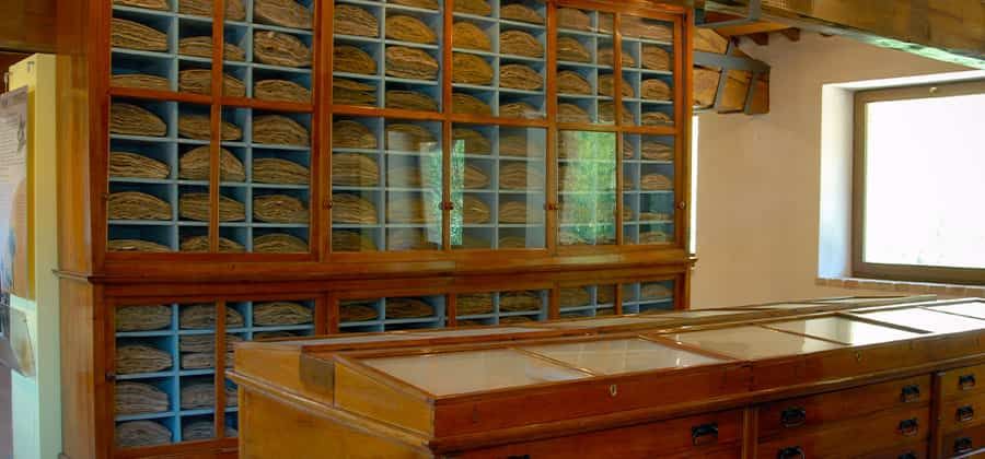 Museo di Storia Naturale "Antonio Orsini"