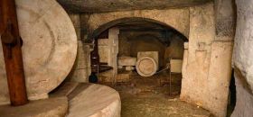 Museo dell'Olio "Molo"