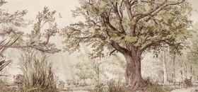 Mubo - Museo del Bosco