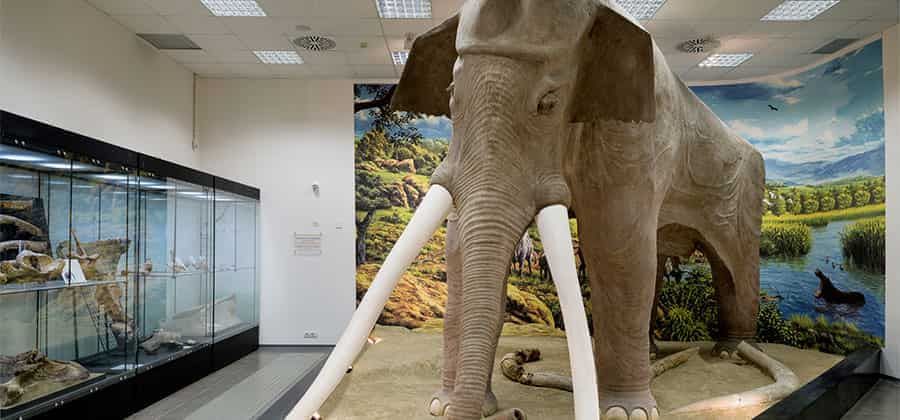 Museo Archeologico del Territorio Toleriense