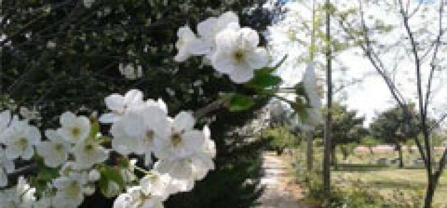 Campastrello Campus Botanico