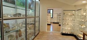 Museo delle Scienze Naturali di Fano