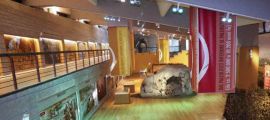 Museo Nazionale Paleolitico "La Pineta"