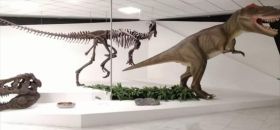 Museo BioGeo