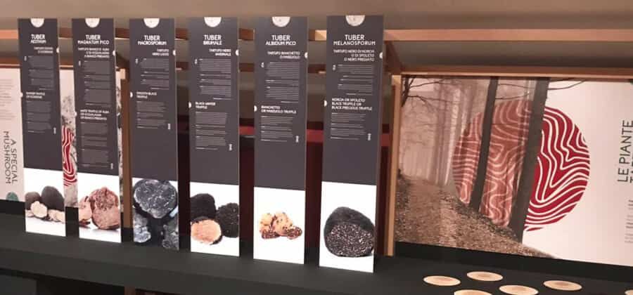 Museo del Tartufo di San Pietro