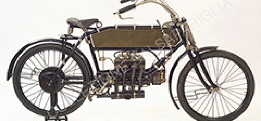 Collezione Salsapariglia