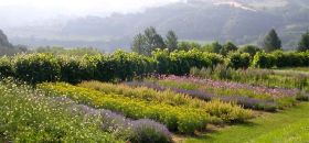 Giardino delle Erbe “Augusto Rinaldi Ceroni”