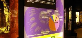 Museo di Speleologia e Carsismo "Alberto Parolini"