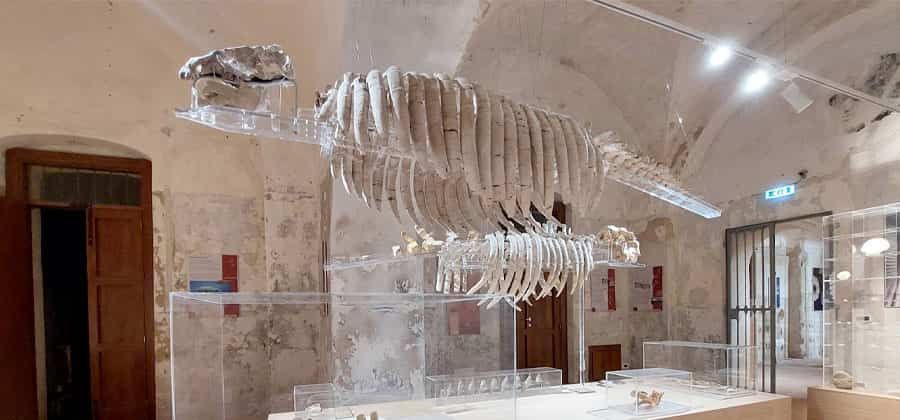 Civico Museo del Mare di Tropea
