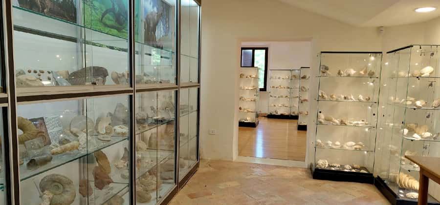 Museo delle Scienze Naturali di Fano