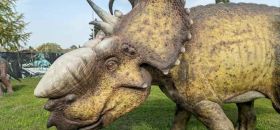 Dinosauri in carne e Ossa