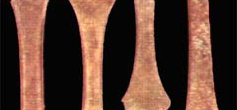 Museo Archeologico del territorio della Garfagnana