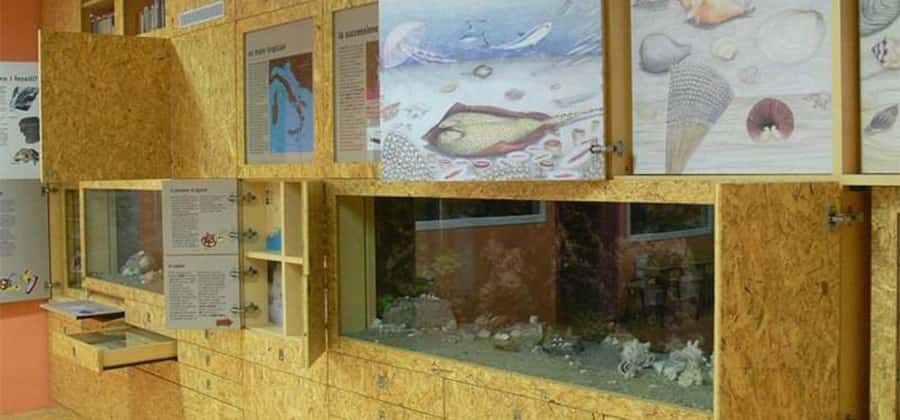 Museo Paleontologico "Silvio Lai"