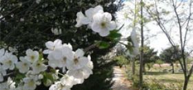 Campastrello Campus Botanico