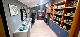 Mu.Vi. Museo della Vita