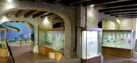 Museo Paleontologico Mondaino