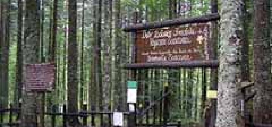 Orto Botanico Forestale dell’Abetone