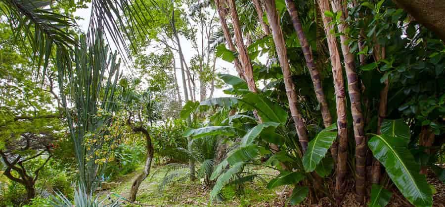 Giardino Botanico di Villa Del Roscio