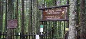 Orto Botanico Forestale dell’Abetone