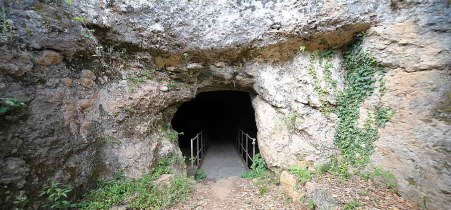 Necropoli Etrusca di Malignano