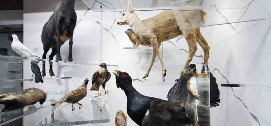 Museo di Storia Naturale del Monte Baldo e del Garda