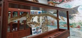 Museo del Mare di Manfredonia