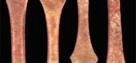 Museo Archeologico del territorio della Garfagnana