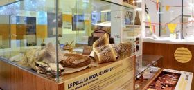 Museo Ambiente e Crimine "Danilo Mainardi"