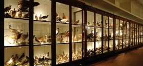 Galleria di Storia Naturale